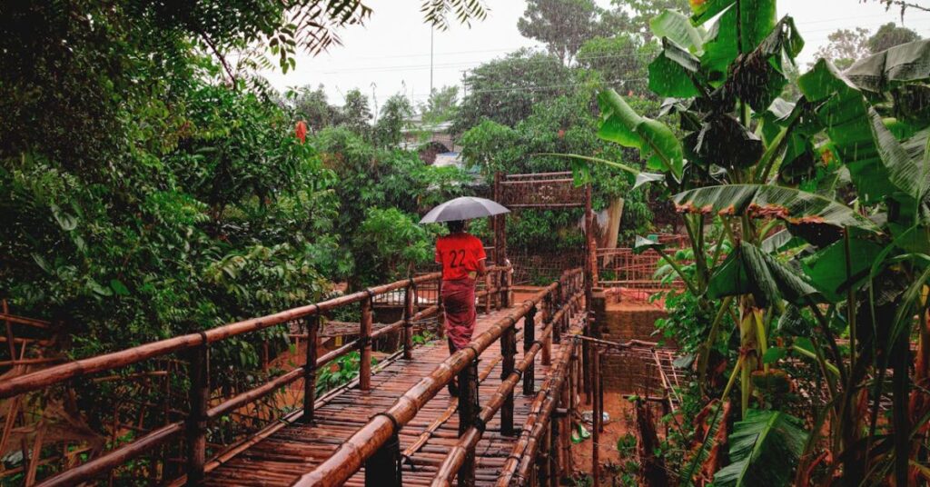 Climate Change ও বৃষ্টিপাতের প্রভাব