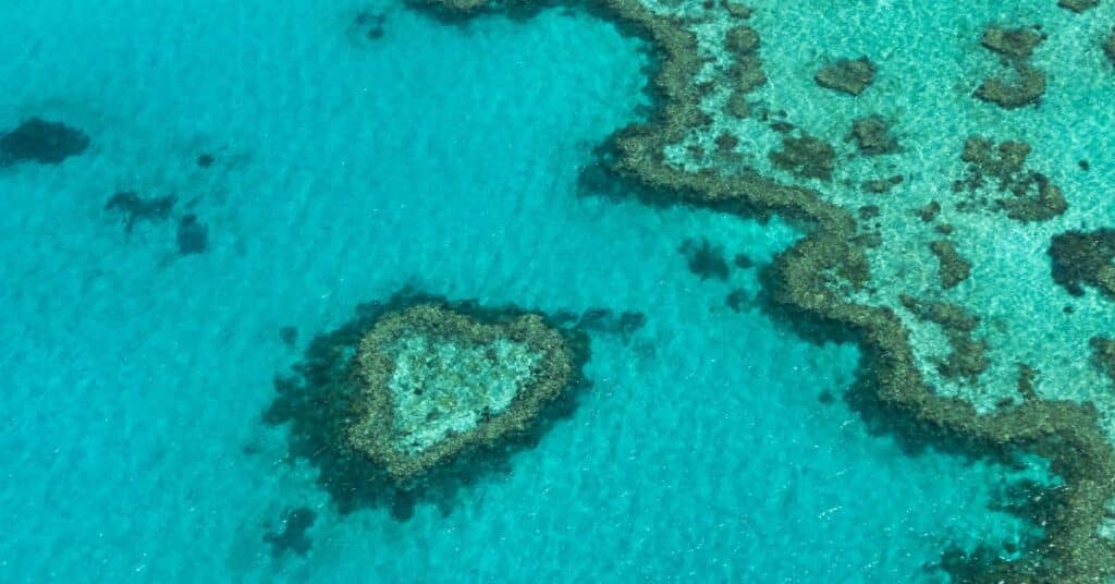 Great Barrier Reef, Australia (Pexels)